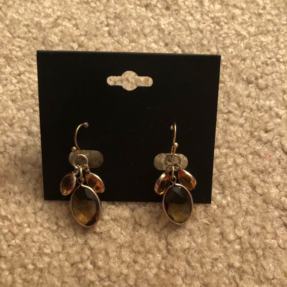 Beautiful Boutique Earrings